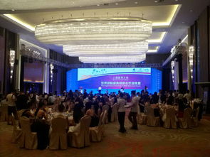 整合資源，打造卓越室內晚宴體驗——海南佳鑫文化傳播的全方位服務方案